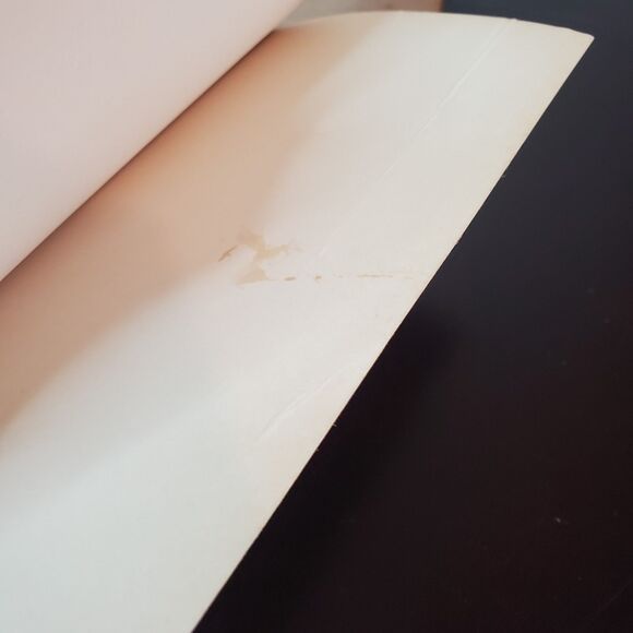 The Zion Covenant Lot of 4 Books (2-5) Bodie Thoene Christian Fiction - Picture 8 of 13